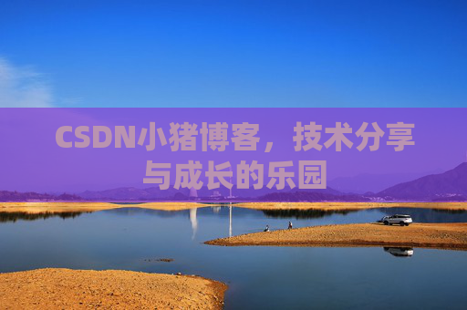 CSDN小猪博客，技术分享与成长的乐园
