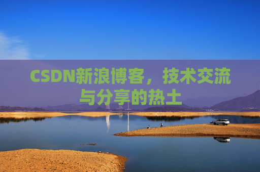 CSDN新浪博客，技术交流与分享的热土